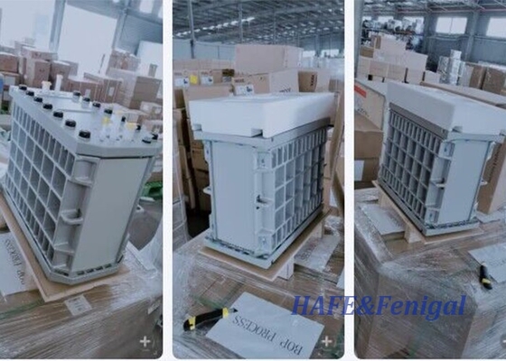 वसूली 97% नाममात्र प्रवाह 5.0 M3/h Veolia EDI मॉड्यूल E-Cell-3X